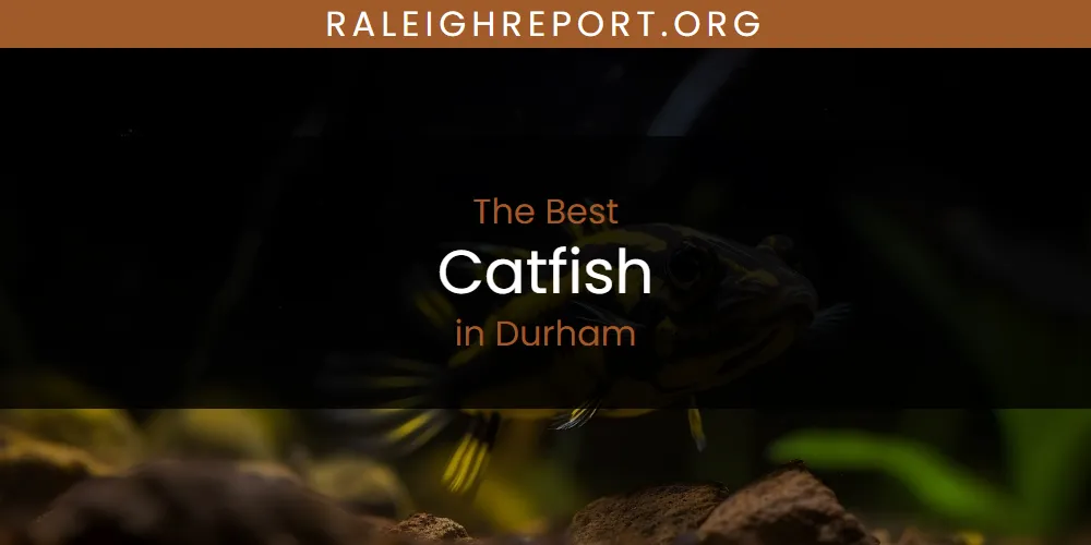 The Absolute Best Catfish in Durham  [Updated 2025]