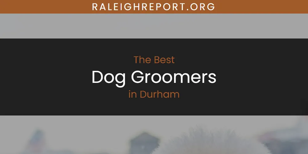 The Absolute Best Dog Groomers in Durham  [Updated 2025]