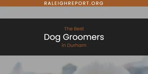 Best Dog Groomers in Durham: Ultimate Guide