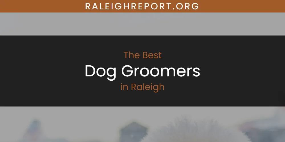 Raleigh's Best Dog Groomers [Updated 2025]