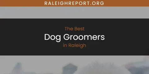 Best Dog Groomers in Raleigh: Complete Guide
