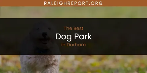 The Absolute Best Dog Park in Durham