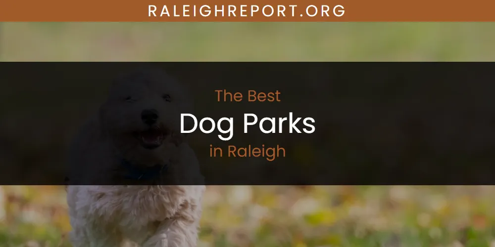 Raleigh's Best Dog Parks [Updated 2025]