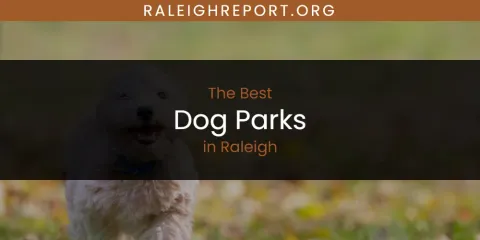 Discover the Best Dog Parks in Raleigh
