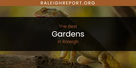 Raleigh's Best Gardens Spots
