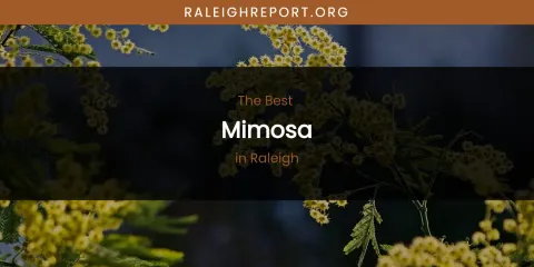Raleigh's Best Mimosa