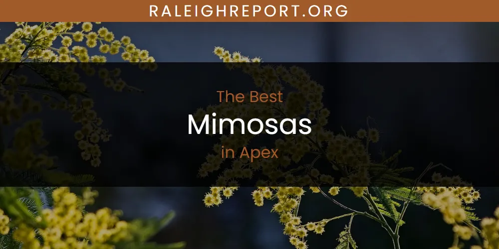 The Absolute Best Mimosas in Apex  [Updated 2025]