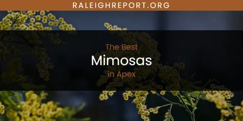 The Absolute Best Mimosas in Apex