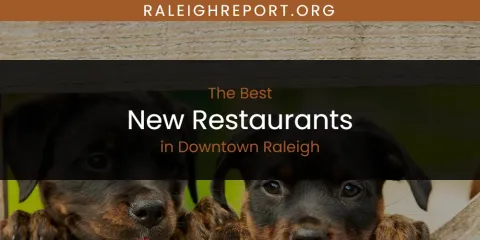 The Absolute Best New Restaurants in Downtown Raleigh