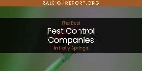 The Absolute Best Pest Control Companies in Holly Springs