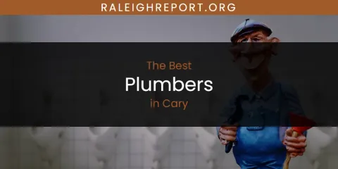 The Best Plumbers in Cary