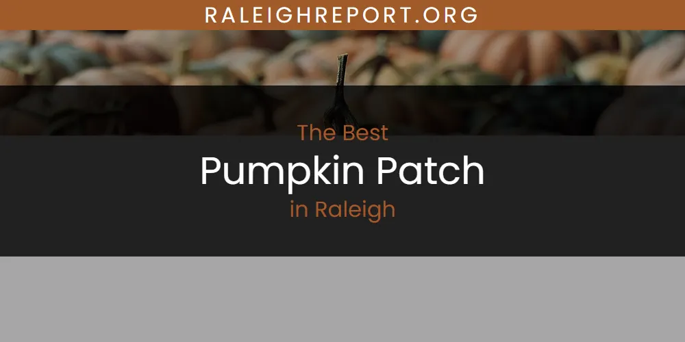 2026 Ranked: Best Pumpkin Patch in Raleigh