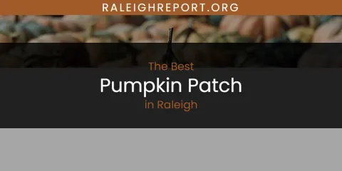 Ranked: Best Pumpkin Patch in Raleigh