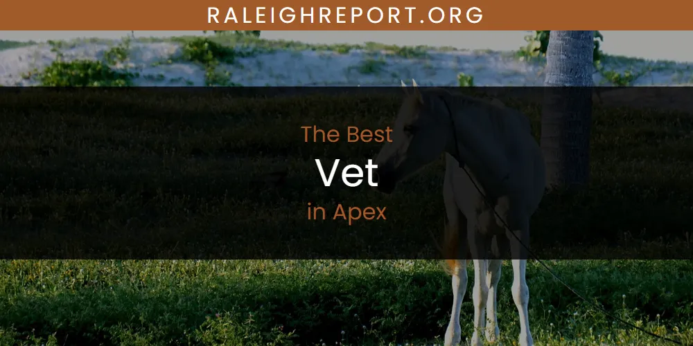 Discover the Best Vet in Apex (2026)