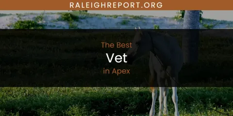 Discover the Best Vet in Apex