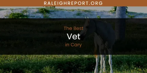 The Best Vet in Cary List