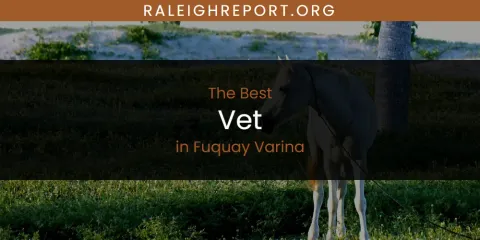 The Absolute Best Vet in Fuquay Varina