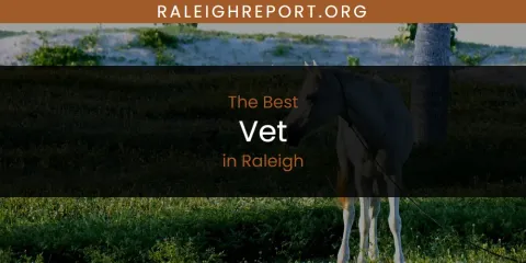 Discover the Best Vet in Raleigh