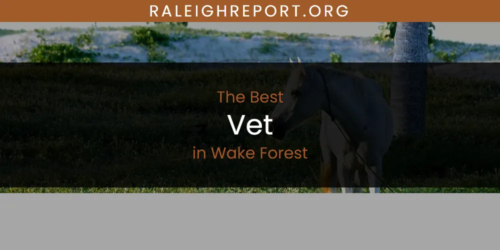 Wake Forest's Best Vet [Updated 2025]