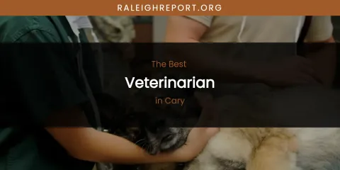The Absolute Best Veterinarian in Cary