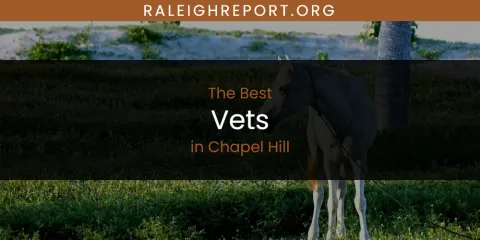 Best Vets in Chapel Hill: Complete Guide