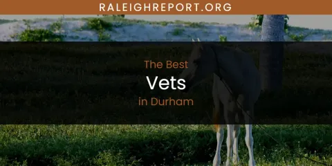 The Absolute Best Vets in Durham